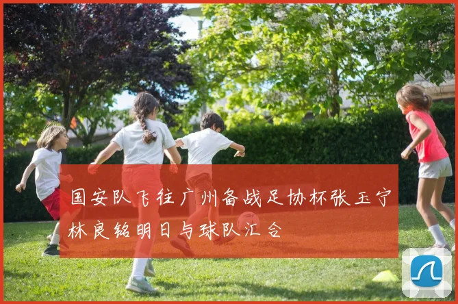 国安队飞往广州备战足协杯张玉宁林良铭明日与球队汇合